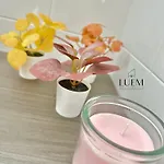 Luem 度假居